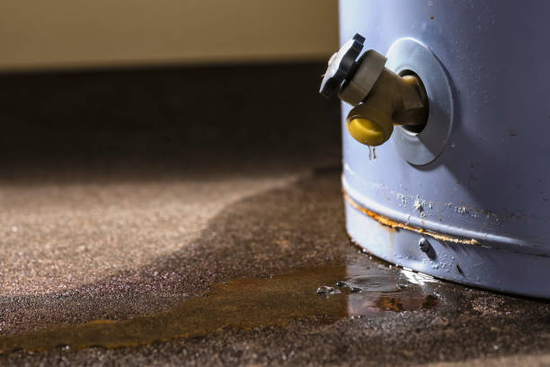 Best Fire Damage Restoration  in Rosemount, MN
