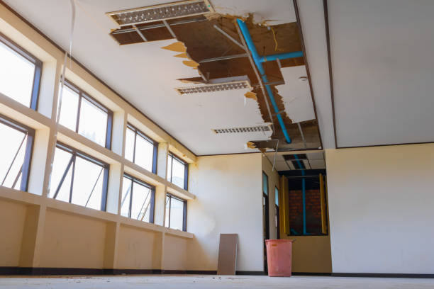 Best Ceiling water damage repair  in Rosemount, MN