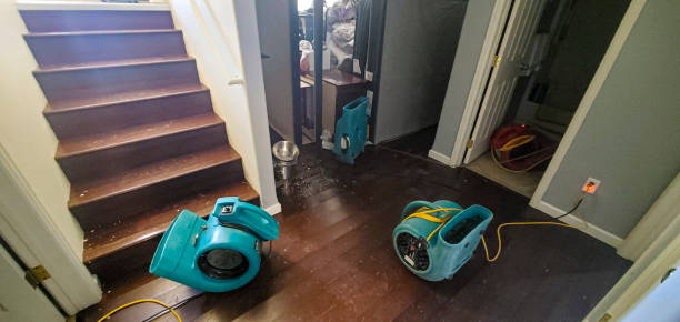 Best 24/7 water damage repair  in Rosemount, MN