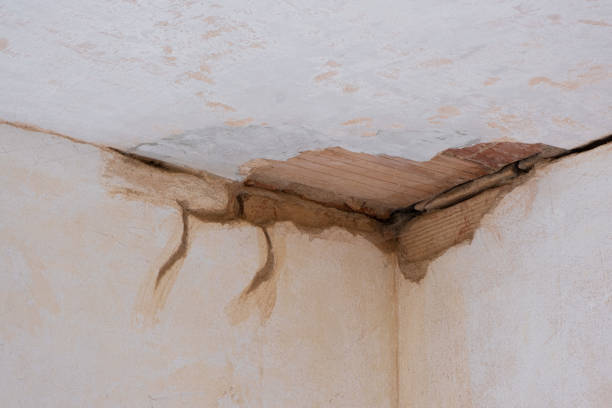 Best Basement water damage restoration  in Rosemount, MN