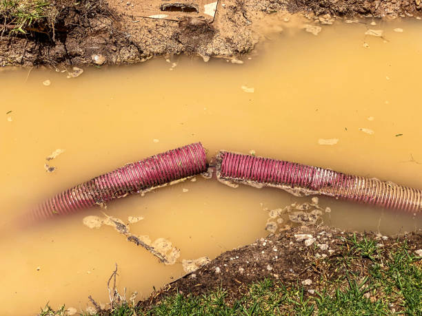 Rosemount, MN Water damage restoration Pros